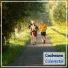 Cochrane review: Prehabilitation versus no prehabilitation to improve functional capacity, reduce postoperative complications and improve quality of life in colorectal cancer surgery