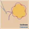 Cochrane review: Purse‐string skin closure versus linear skin closure in people undergoing stoma reversal