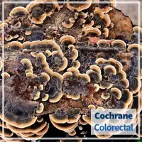 Cochranereview: Coriolus (Trametes) versicolor mushroom to reduce adverse effects from chemotherapy or radiotherapy in people with colorectal cancer